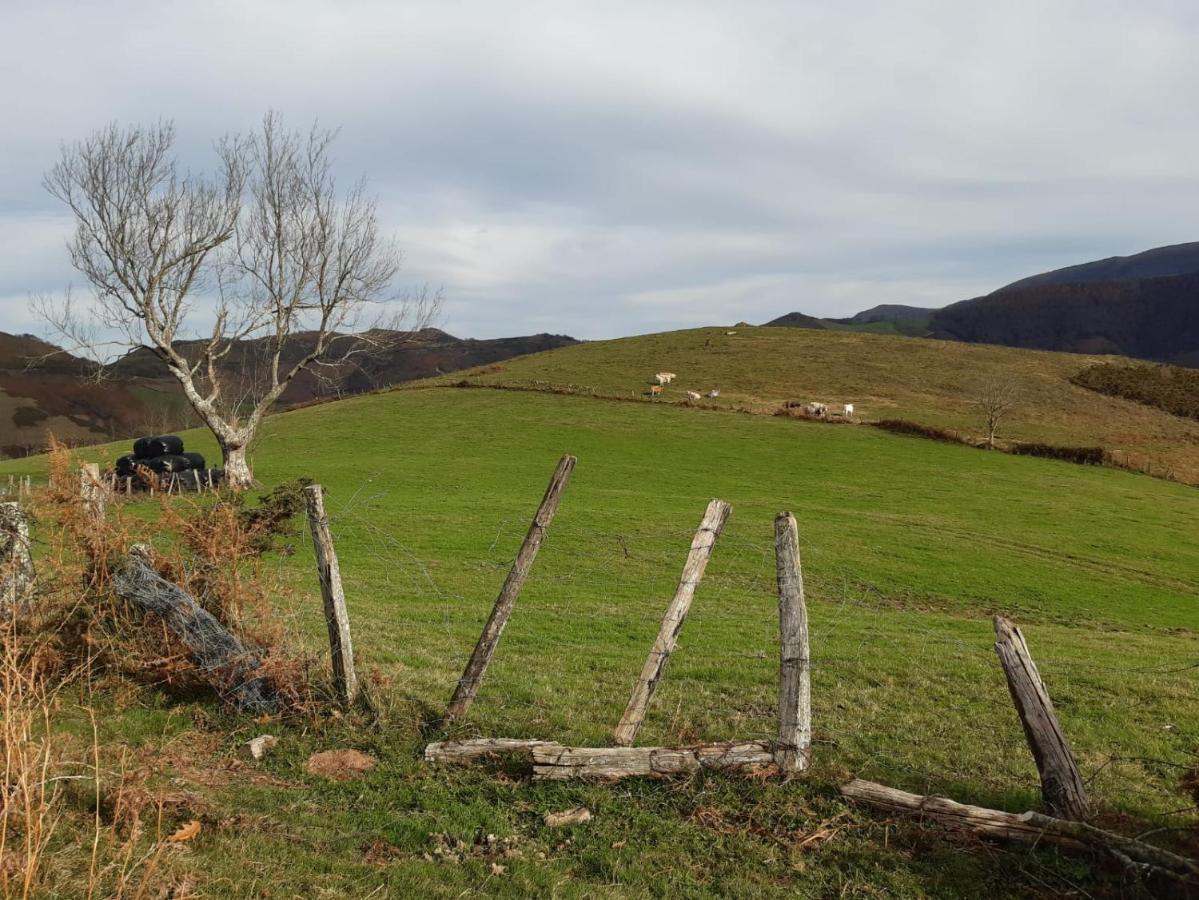 Apartamento Rural Elizondo Buitenkant foto
